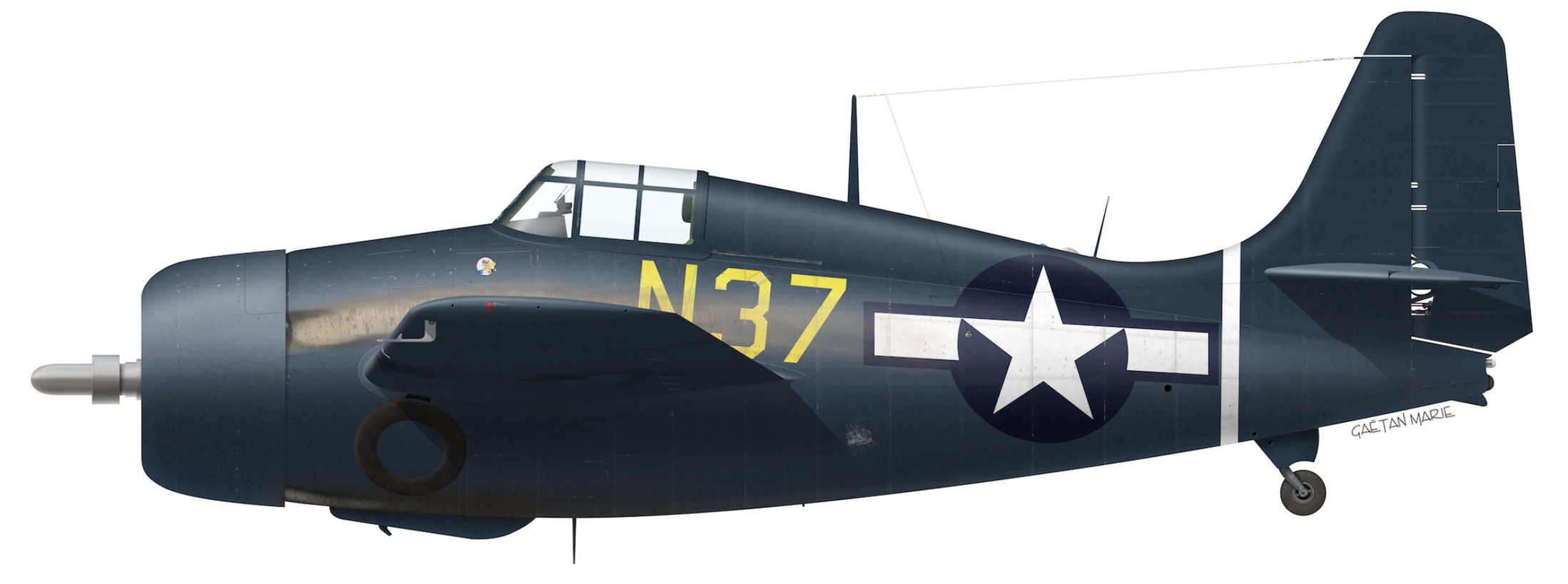 Side-view colour profile of Eastern FM-2 Wildcat N37 in dark sea blue with yellow code N37 and the national insignia
